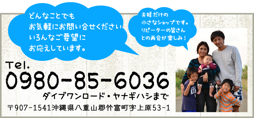 0980-85-6036 ダイブワンロード・ヤナギハシまで